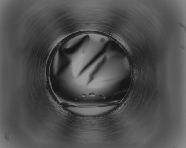 X0000092290980200710051158