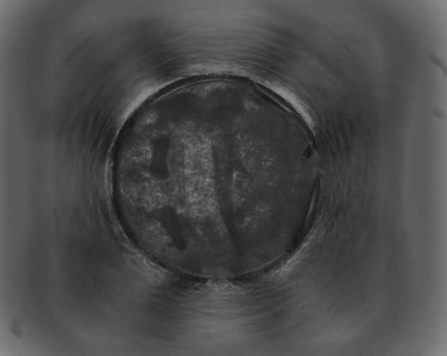 X0000092290983200710051158