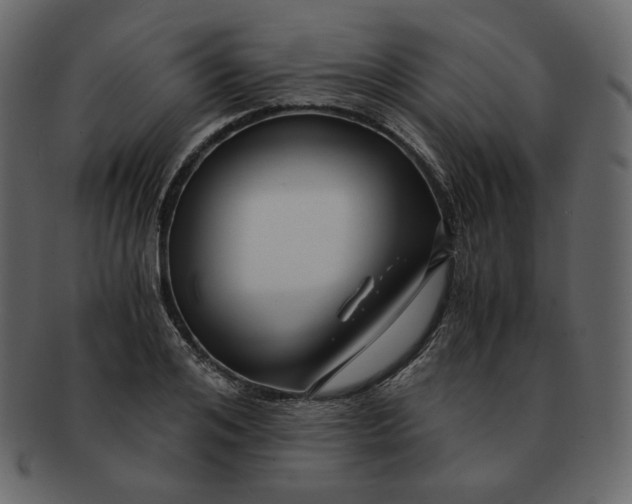 X0000092290984200710051158