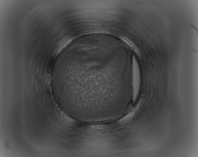 X0000092290985200710051158