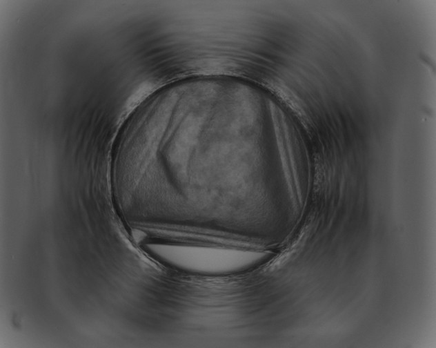 X0000092290986200710051158