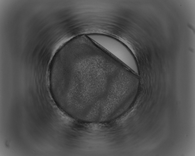 X0000092290987200710051158