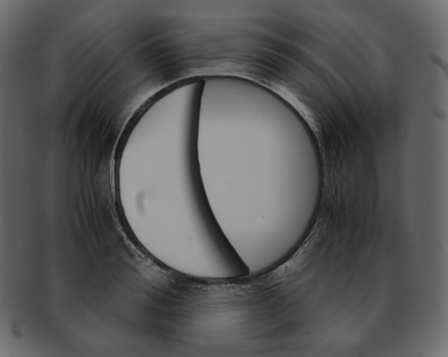 X0000092290988200710051158