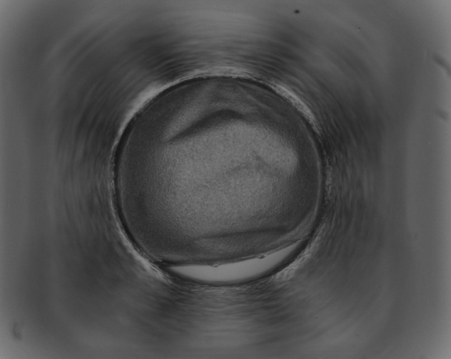 X0000092290989200710051158