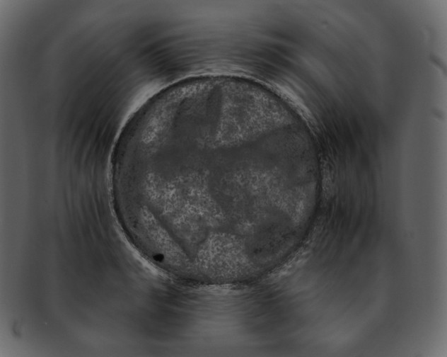 X0000092290990200710051158