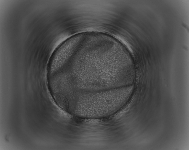 X0000092290991200710051158