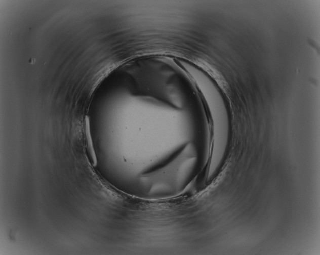 X0000092290993200710051158