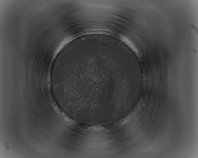 X0000092290994200710051158