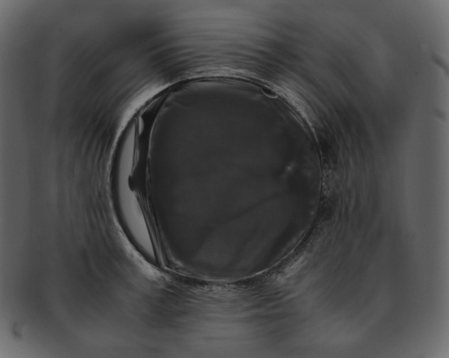 X0000092290995200710051158