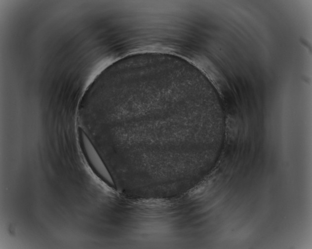 X0000092290998200710051158