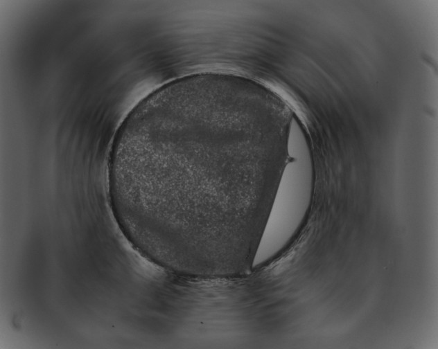 X0000092290999200710051158