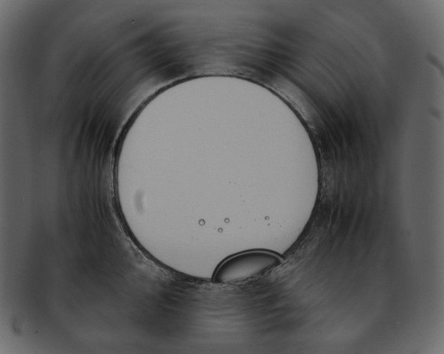 X0000092291000200710051158