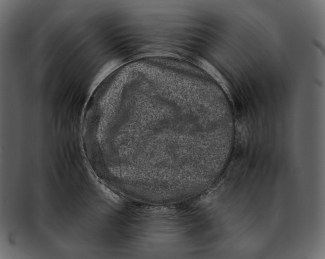 X0000092291002200710051158