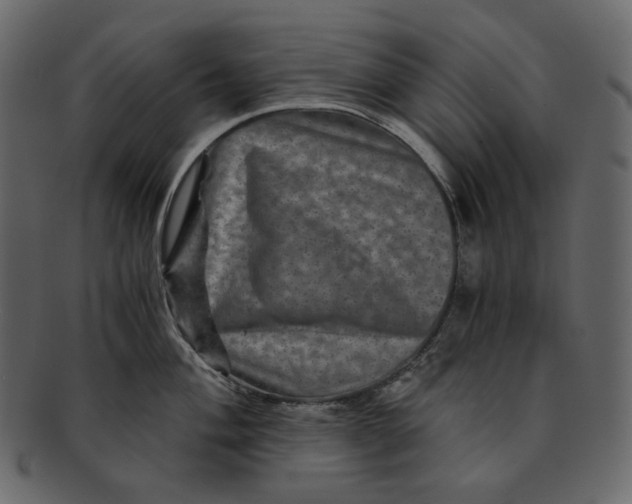 X0000092291004200710051158