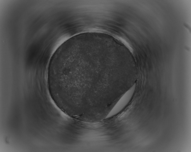 X0000092291007200710051158