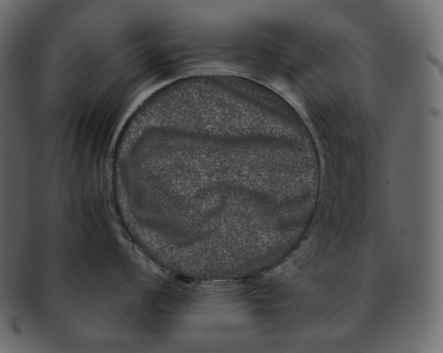 X0000092291008200710051158