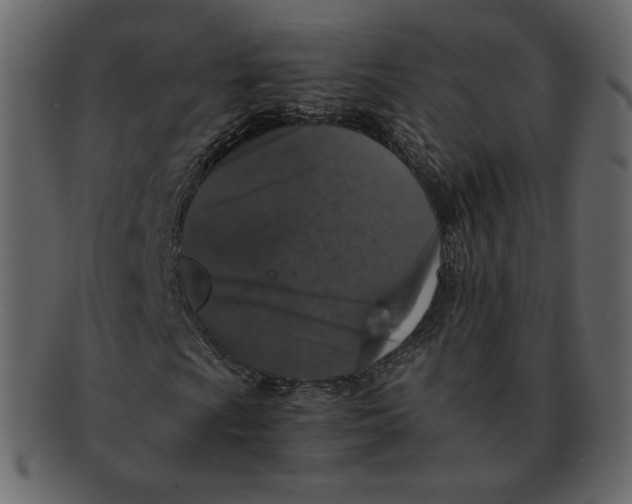 X0000092291009200710051158