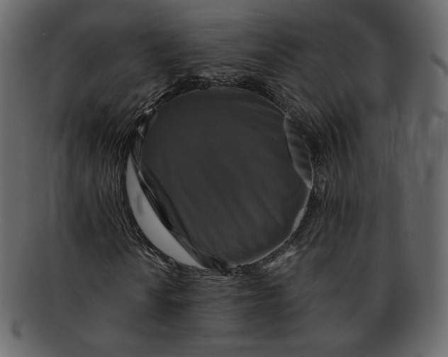 X0000092291010200710051158