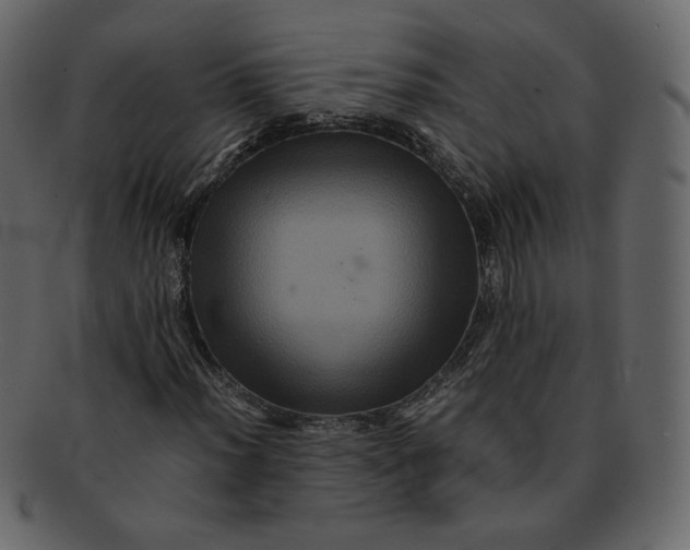 X0000092291012200710051158