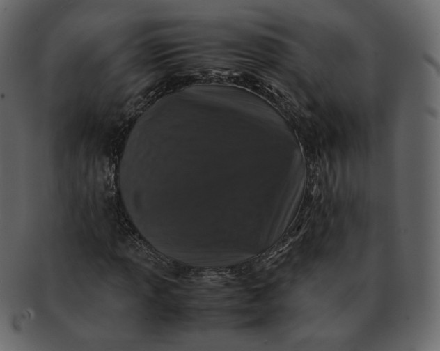 X0000092291013200710051158