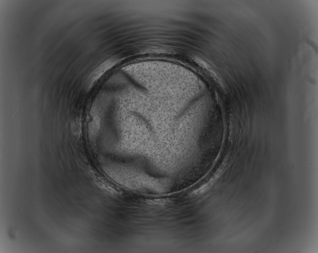 X0000092291017200710051158