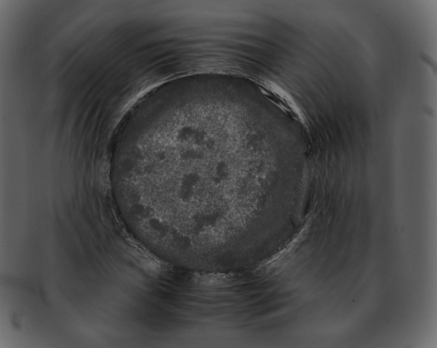 X0000092291019200710051158