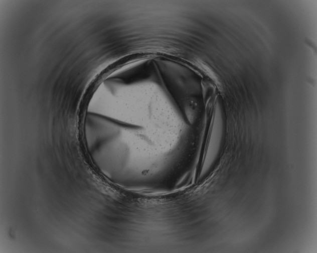 X0000092291020200710051158