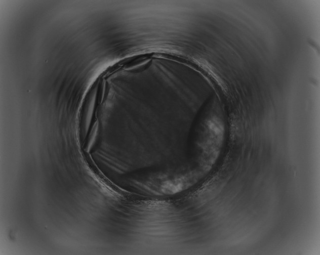 X0000092291024200710051158