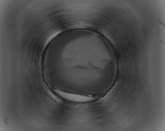 X0000092291026200710051158