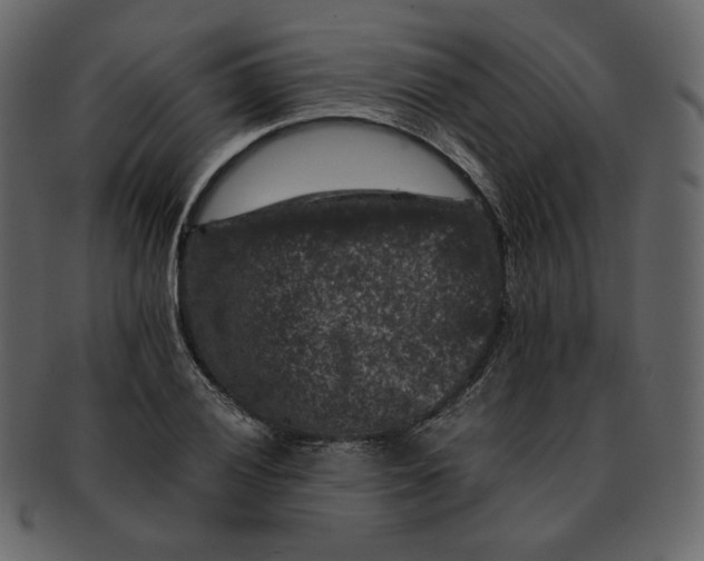 X0000092291028200710051158