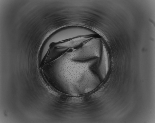 X0000092291029200710051158