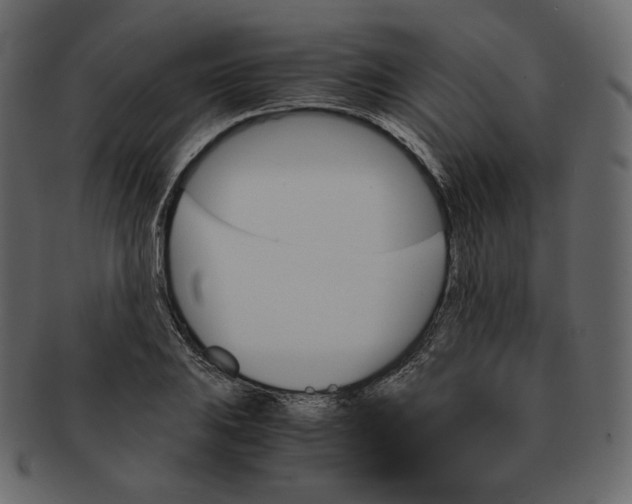 X0000092291031200710051158