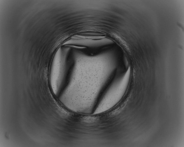 X0000092291033200710051158