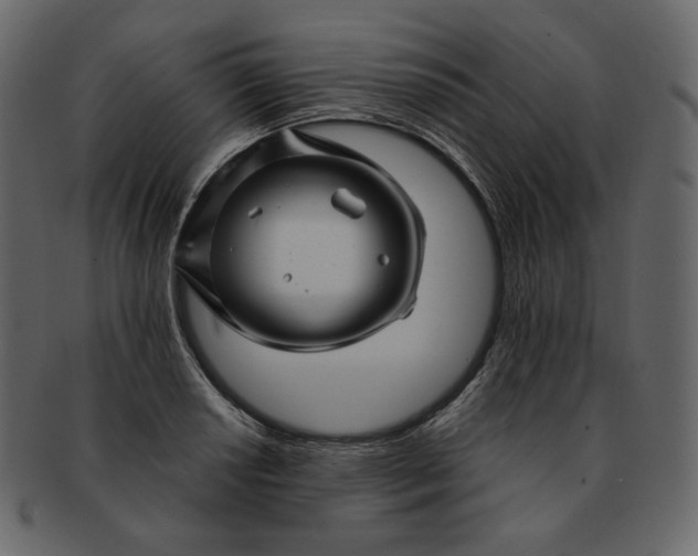 X0000092291034200710051158