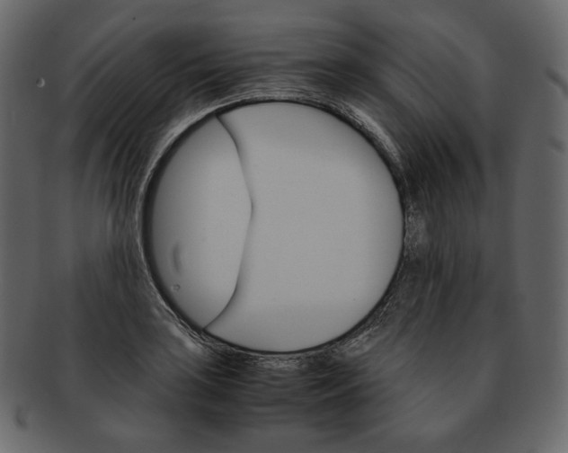 X0000092291035200710051158