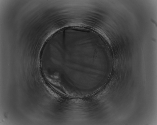 X0000092291037200710051158