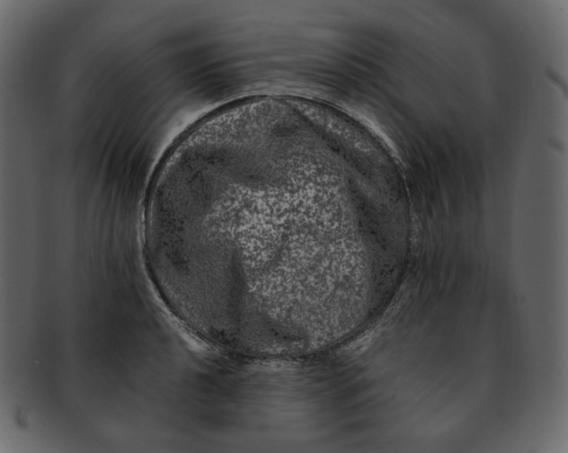 X0000092291040200710051158