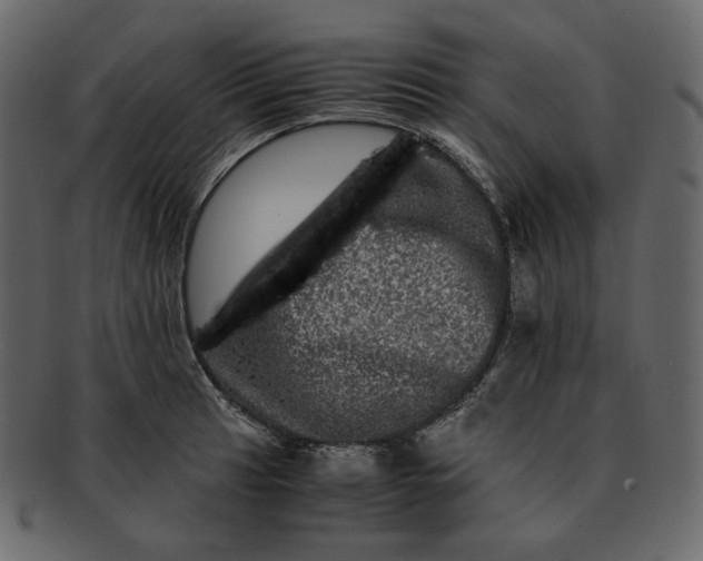 X0000092291041200710051158