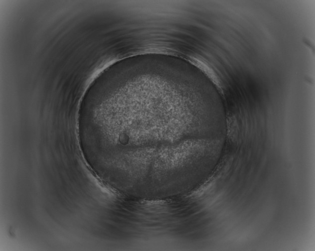 X0000092291043200710051158