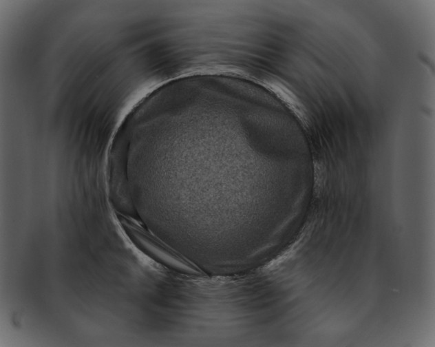 X0000092291046200710051158