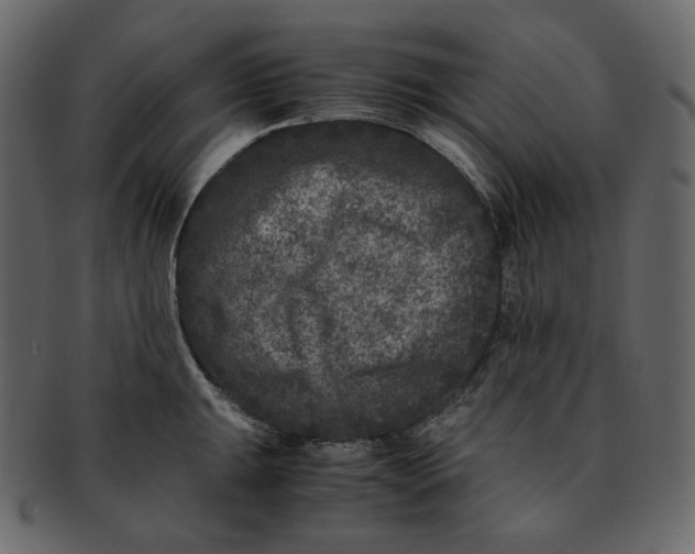 X0000092291047200710051158