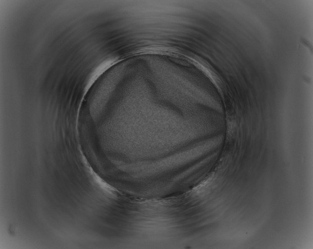 X0000092291050200710051158