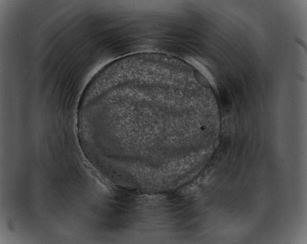 X0000092291051200710051158