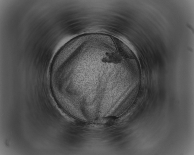 X0000092291053200710051158