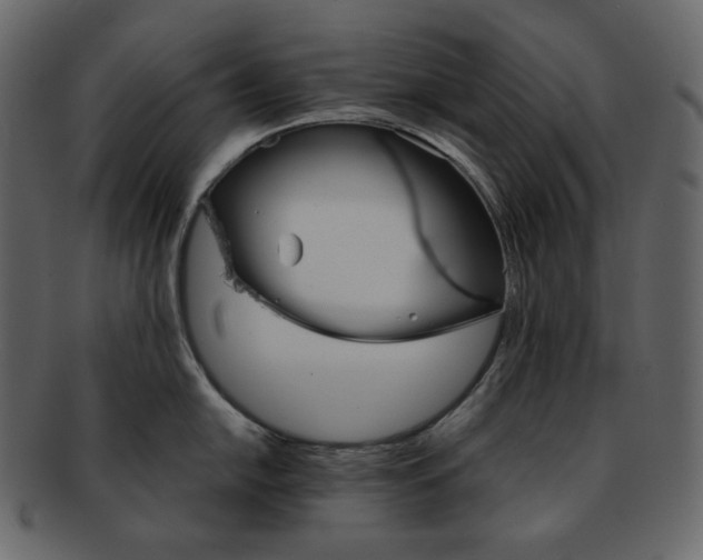 X0000092291054200710051158