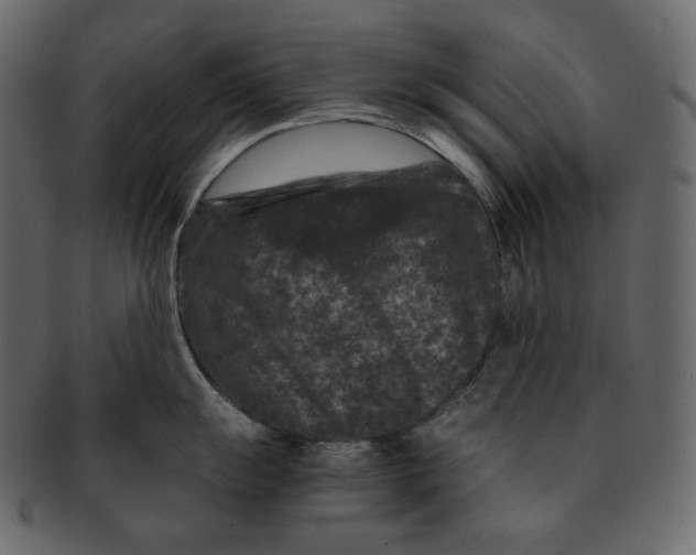 X0000092291055200710051158