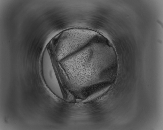 X0000092291056200710051158