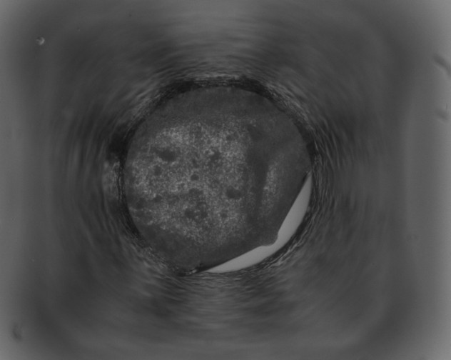 X0000092291059200710051158