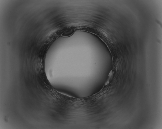 X0000092291062200710051158