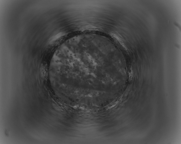 X0000092291063200710051158